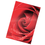 Glossy Pouches - Photo, 3 mil, 25 pack__Photo red 2 LF.png